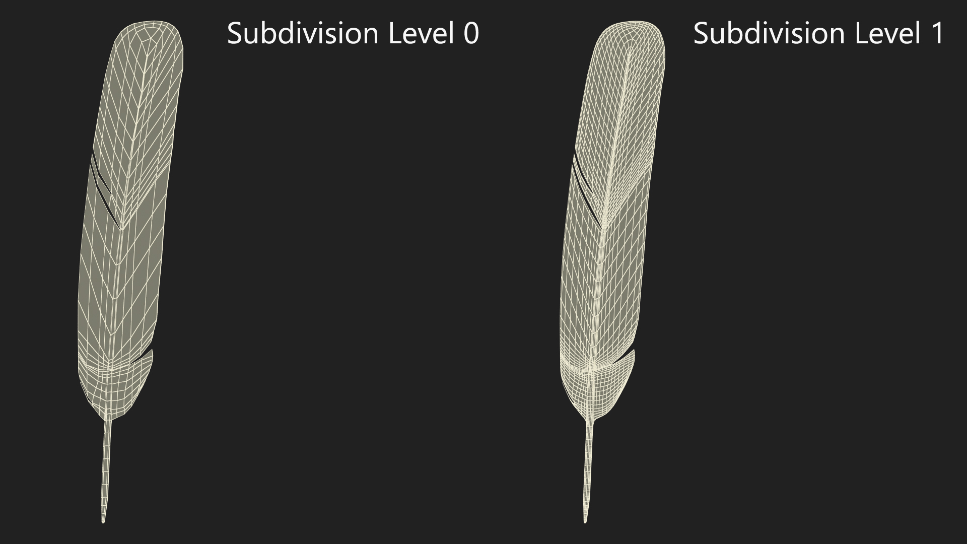 3D Ruffed Grouse Feather