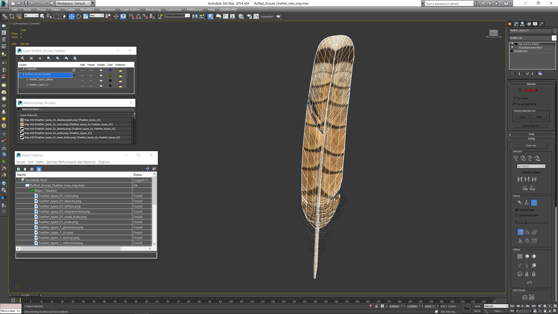 3D Ruffed Grouse Feather