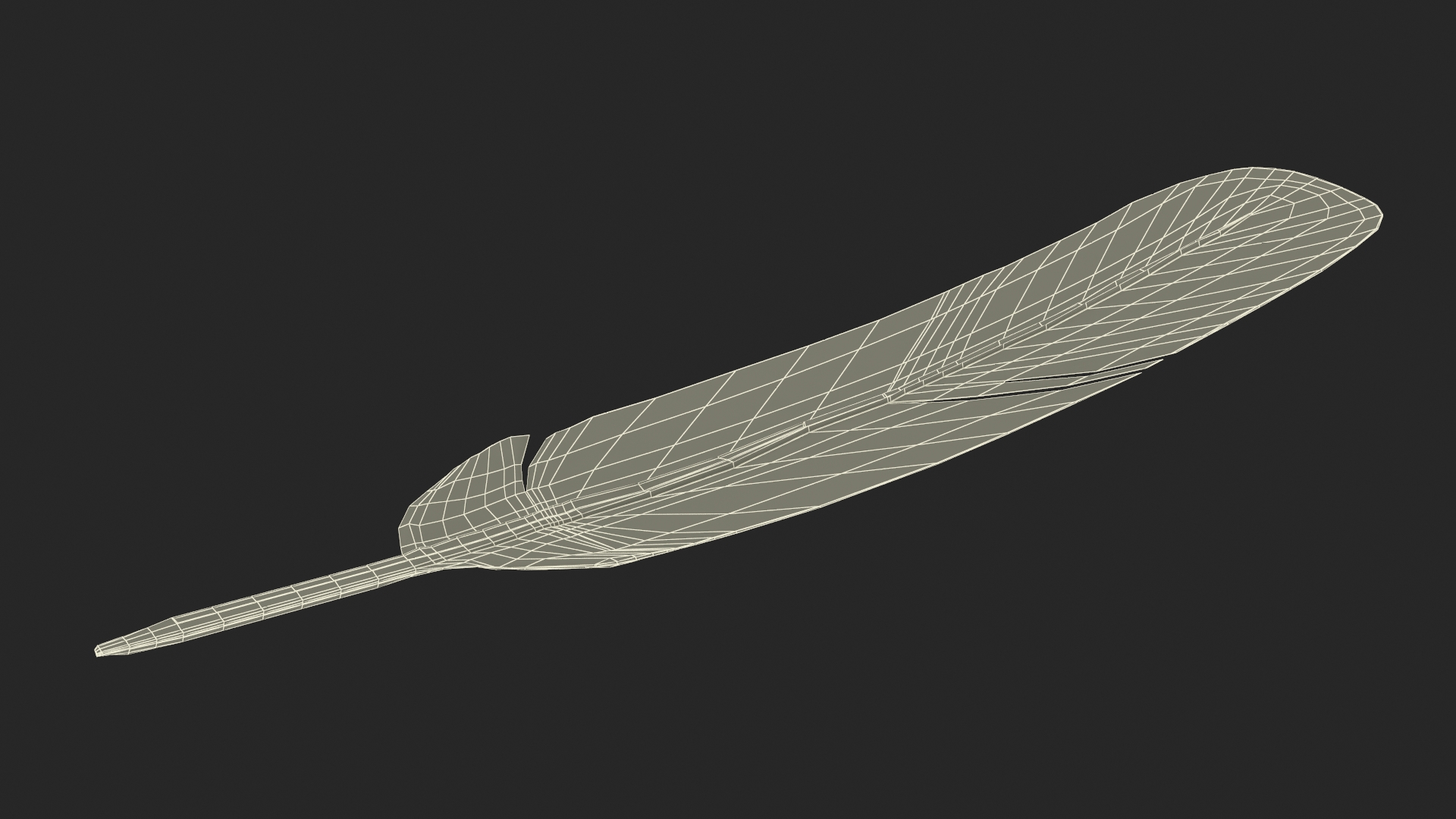 3D Ruffed Grouse Feather