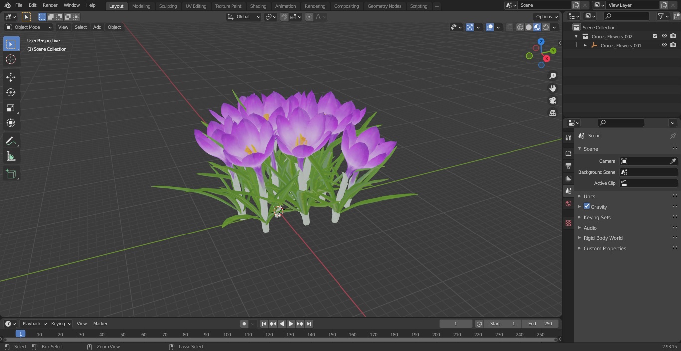 Crocus Flowers 3D model