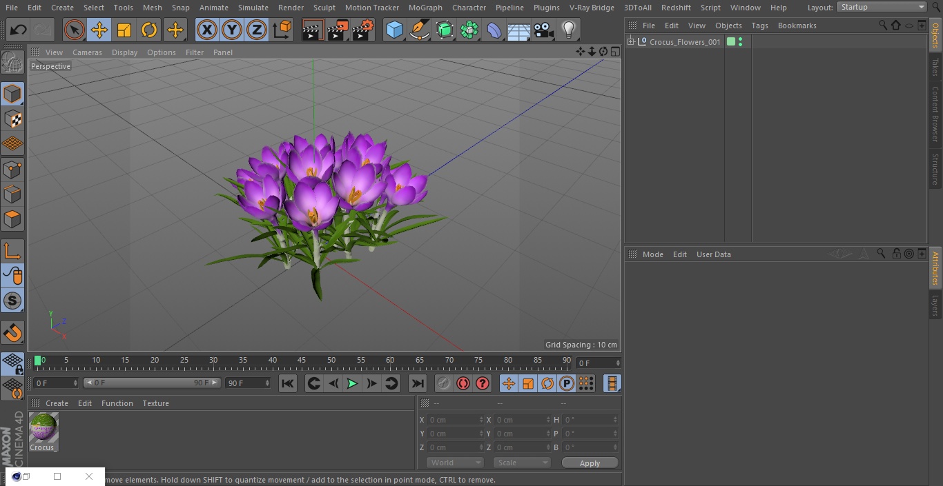 Crocus Flowers 3D model