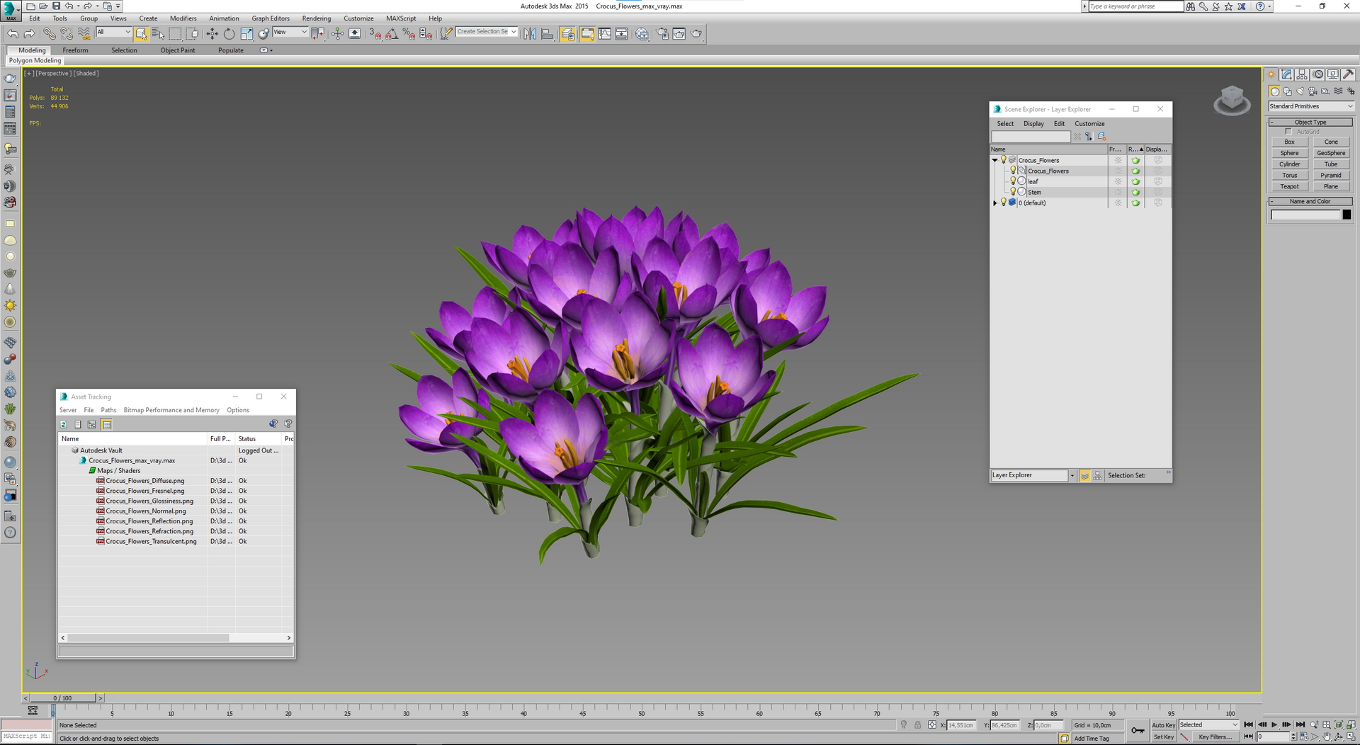 Crocus Flowers 3D model