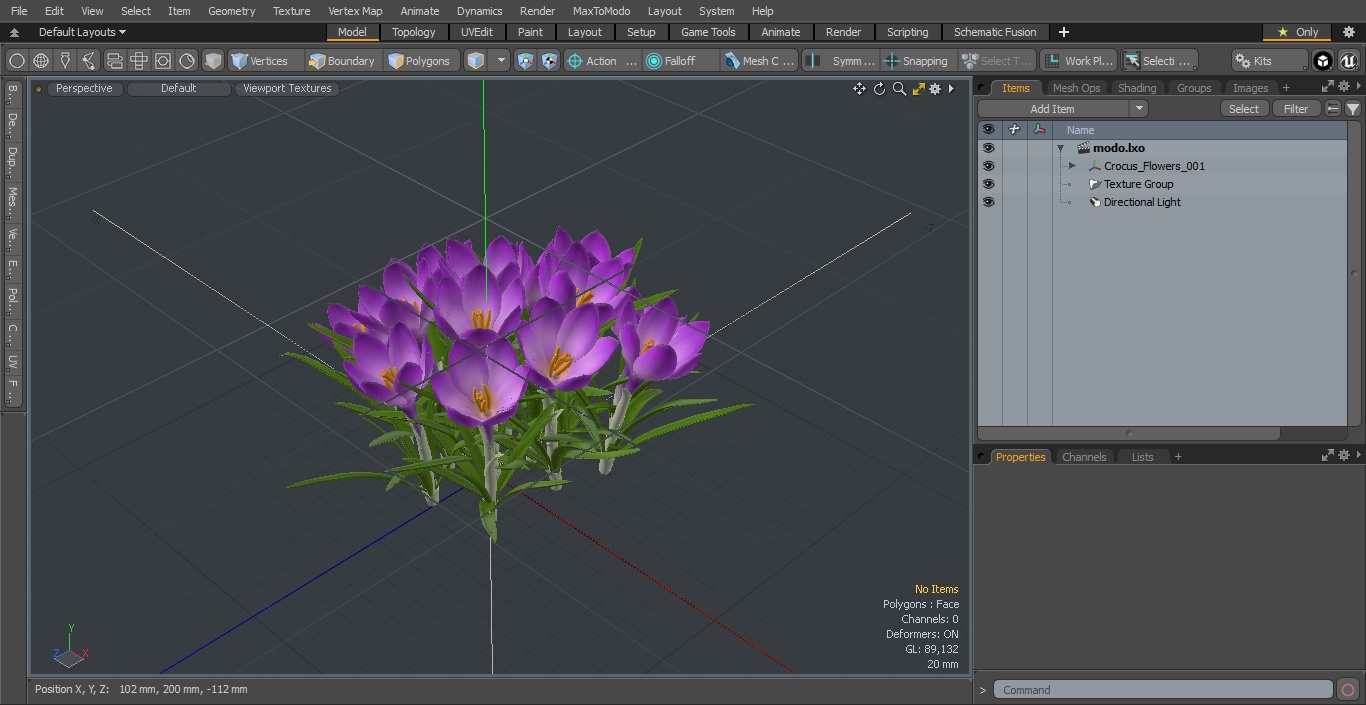 Crocus Flowers 3D model
