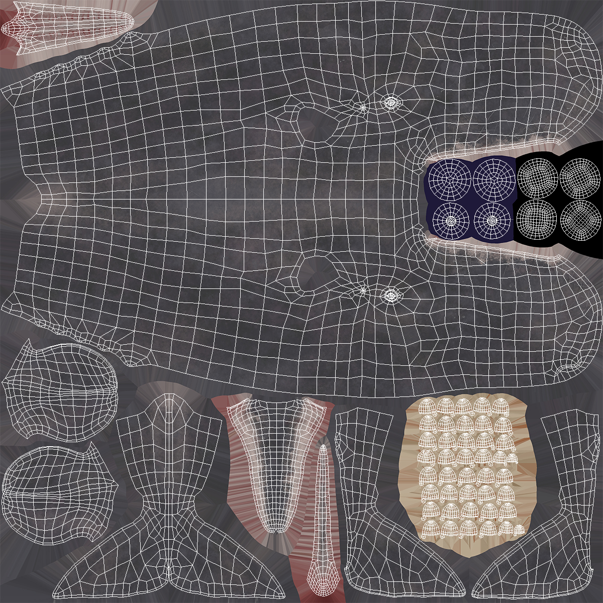 Cachalot Rigged for Cinema 4D 3D model