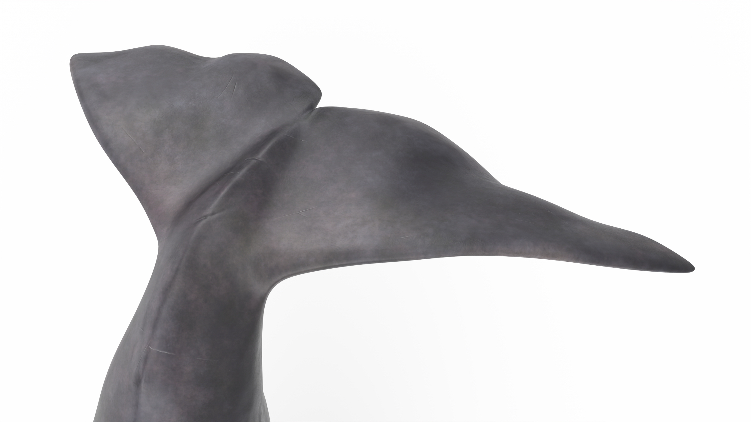 Cachalot Rigged for Cinema 4D 3D model