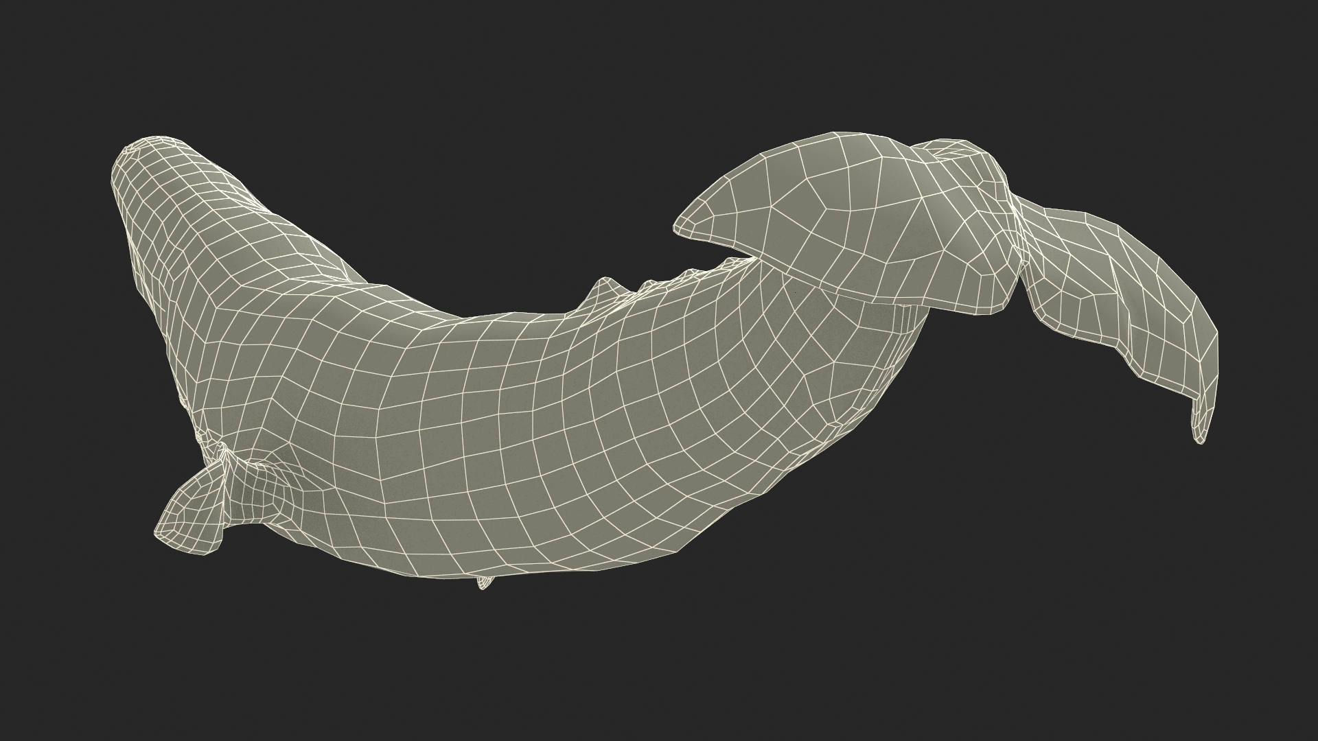 Cachalot Rigged for Cinema 4D 3D model