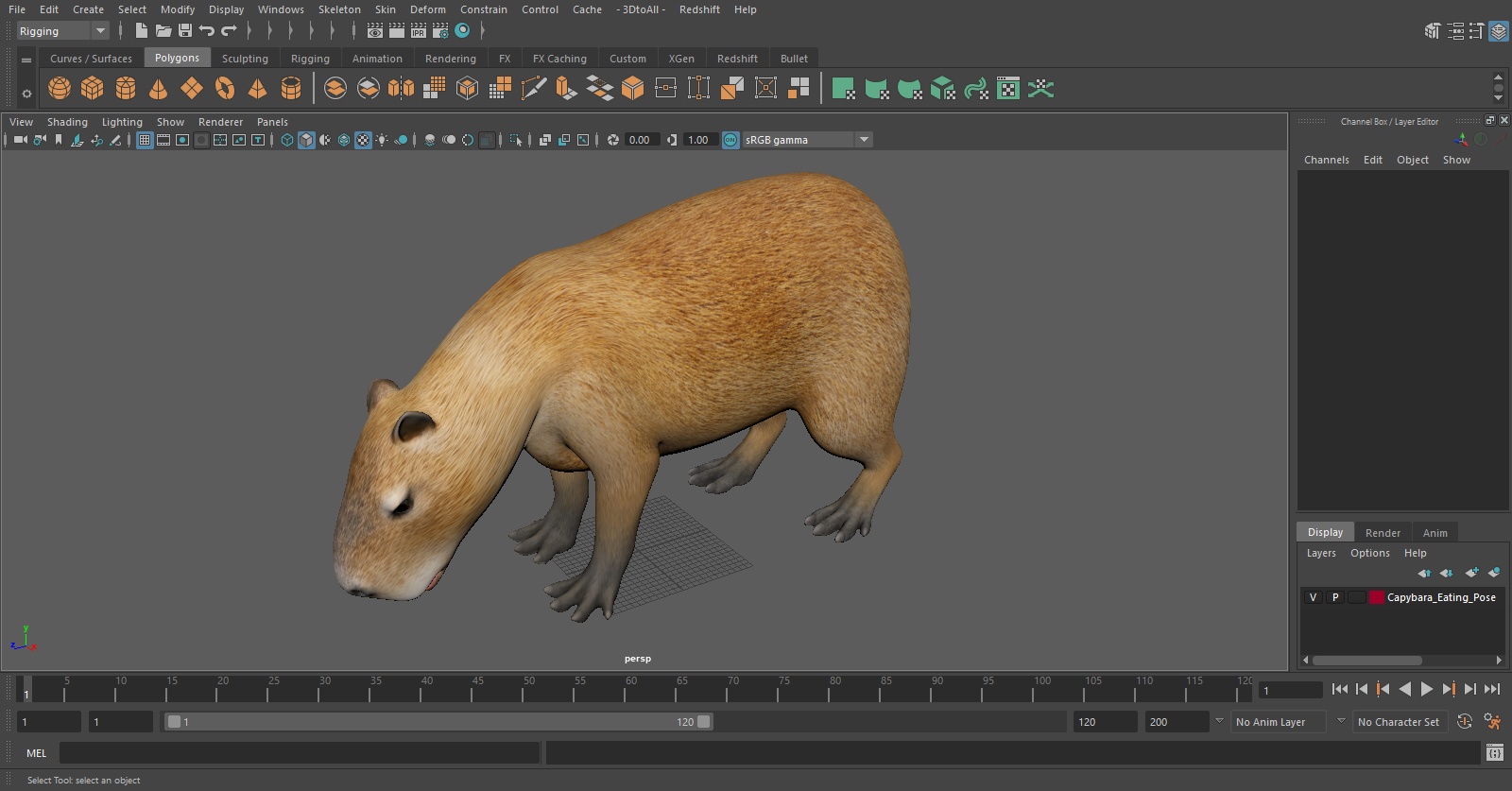 3D model Capybara Eating Pose
