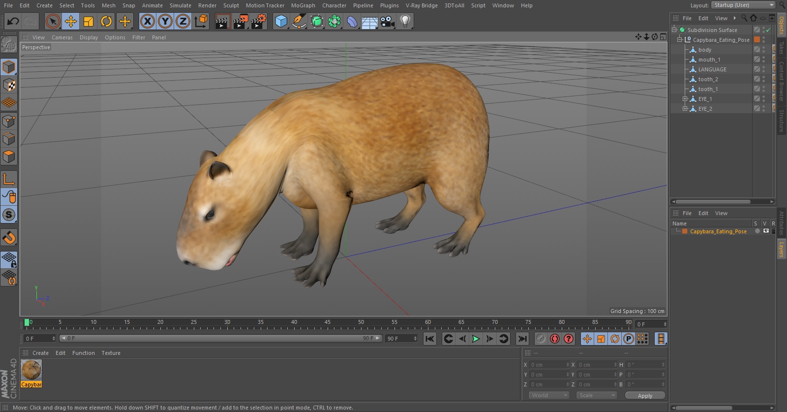 3D model Capybara Eating Pose