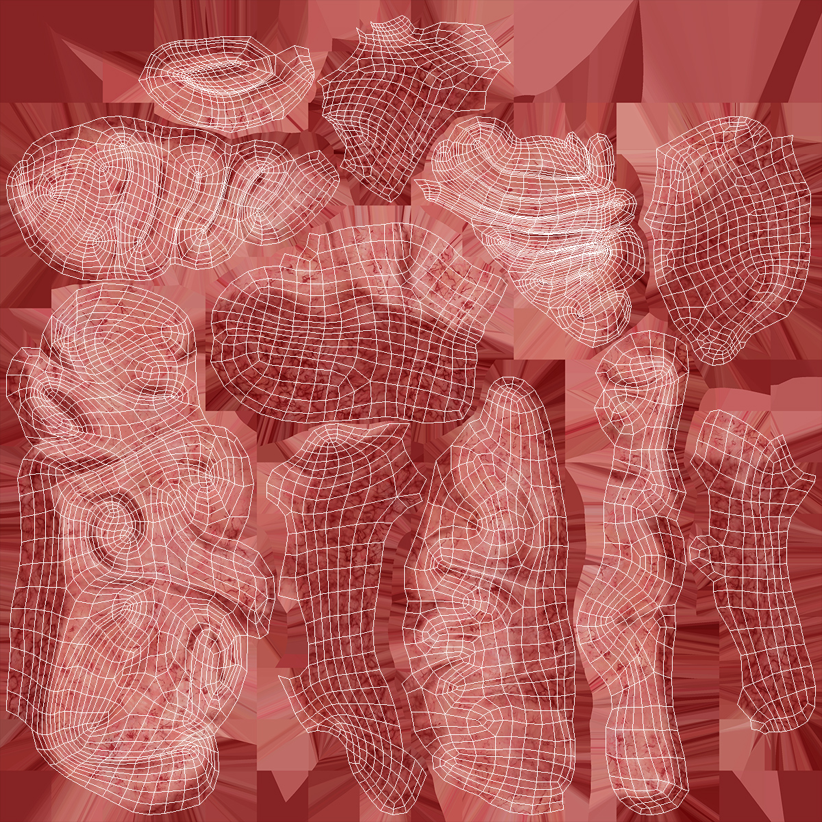 Human Brain Anatomy Section 3D