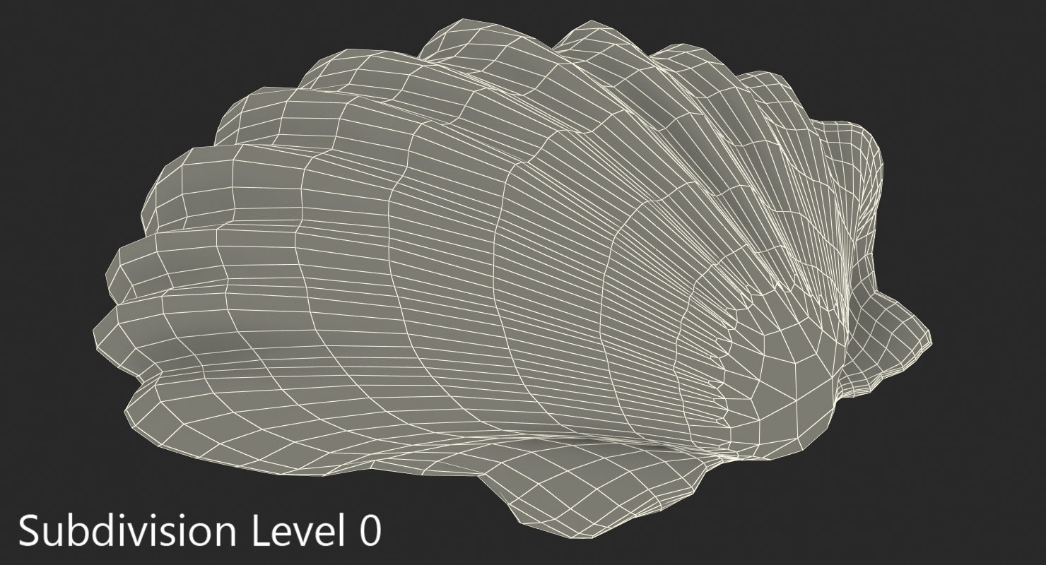 3D Sea Shell 2