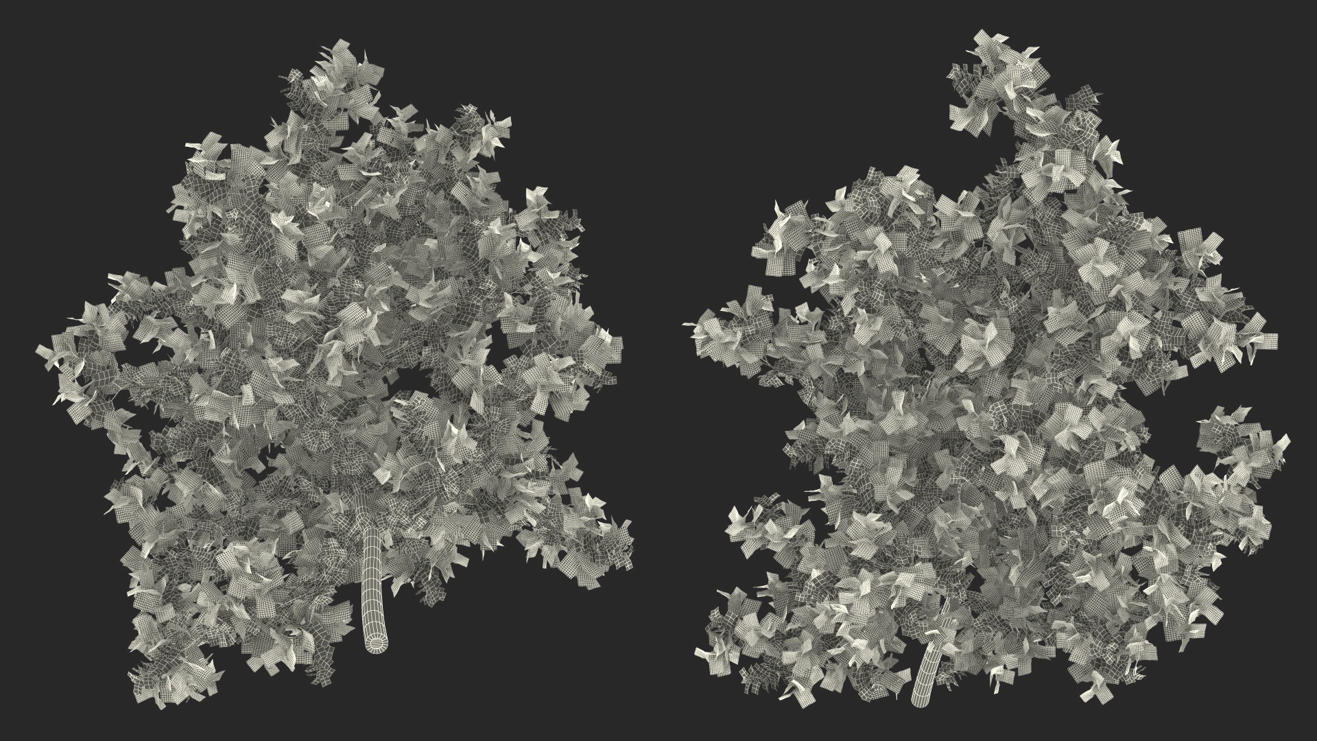 Young White Oak Autumn 3D