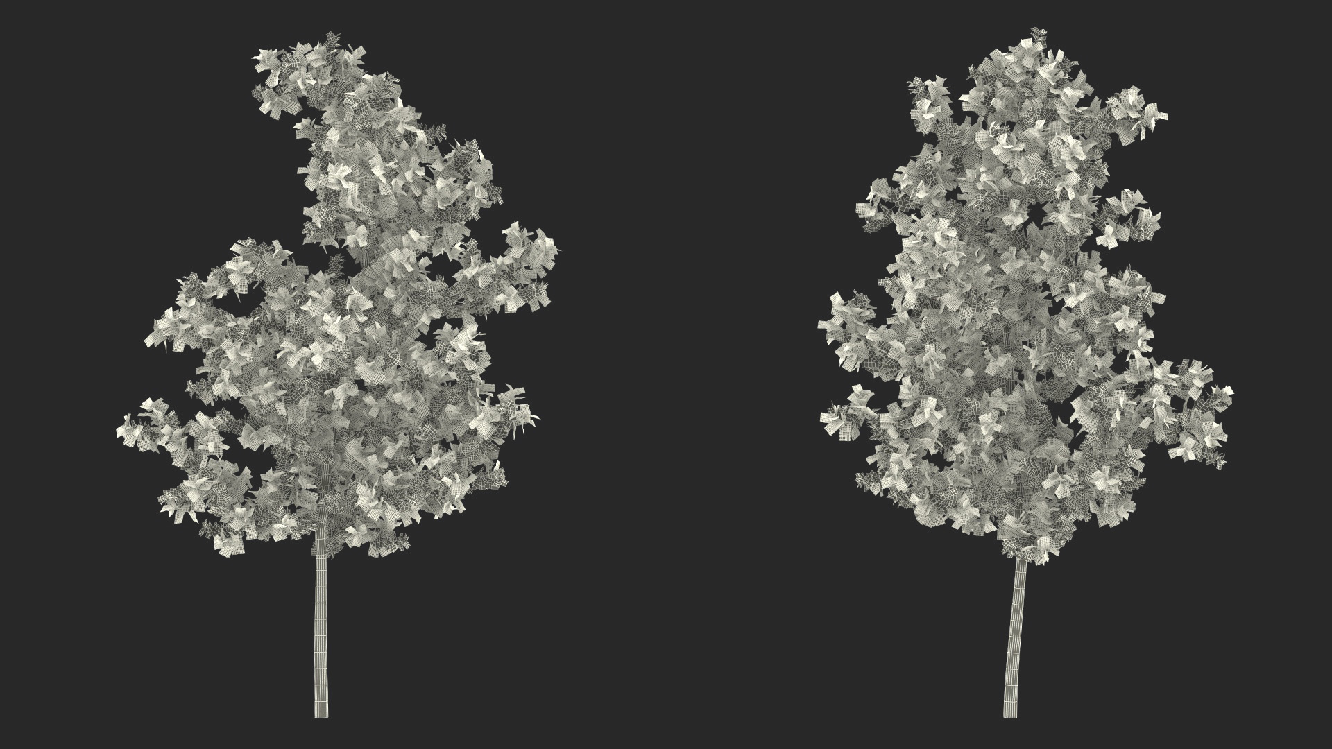Young White Oak Autumn 3D
