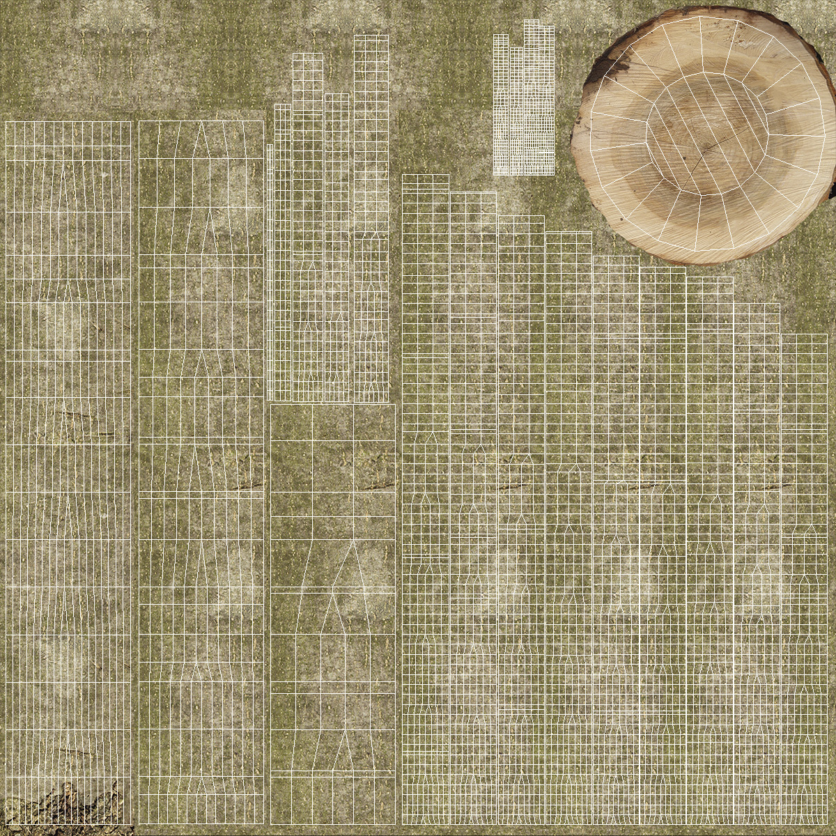 Young White Oak Autumn 3D