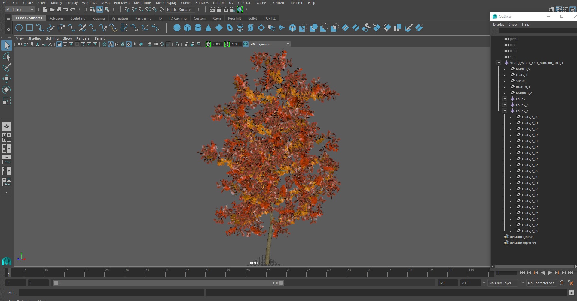 Young White Oak Autumn 3D