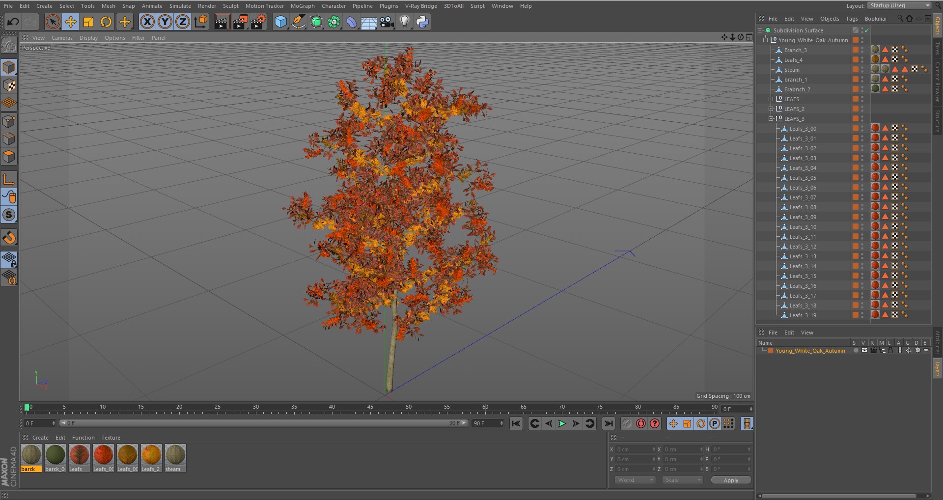 Young White Oak Autumn 3D