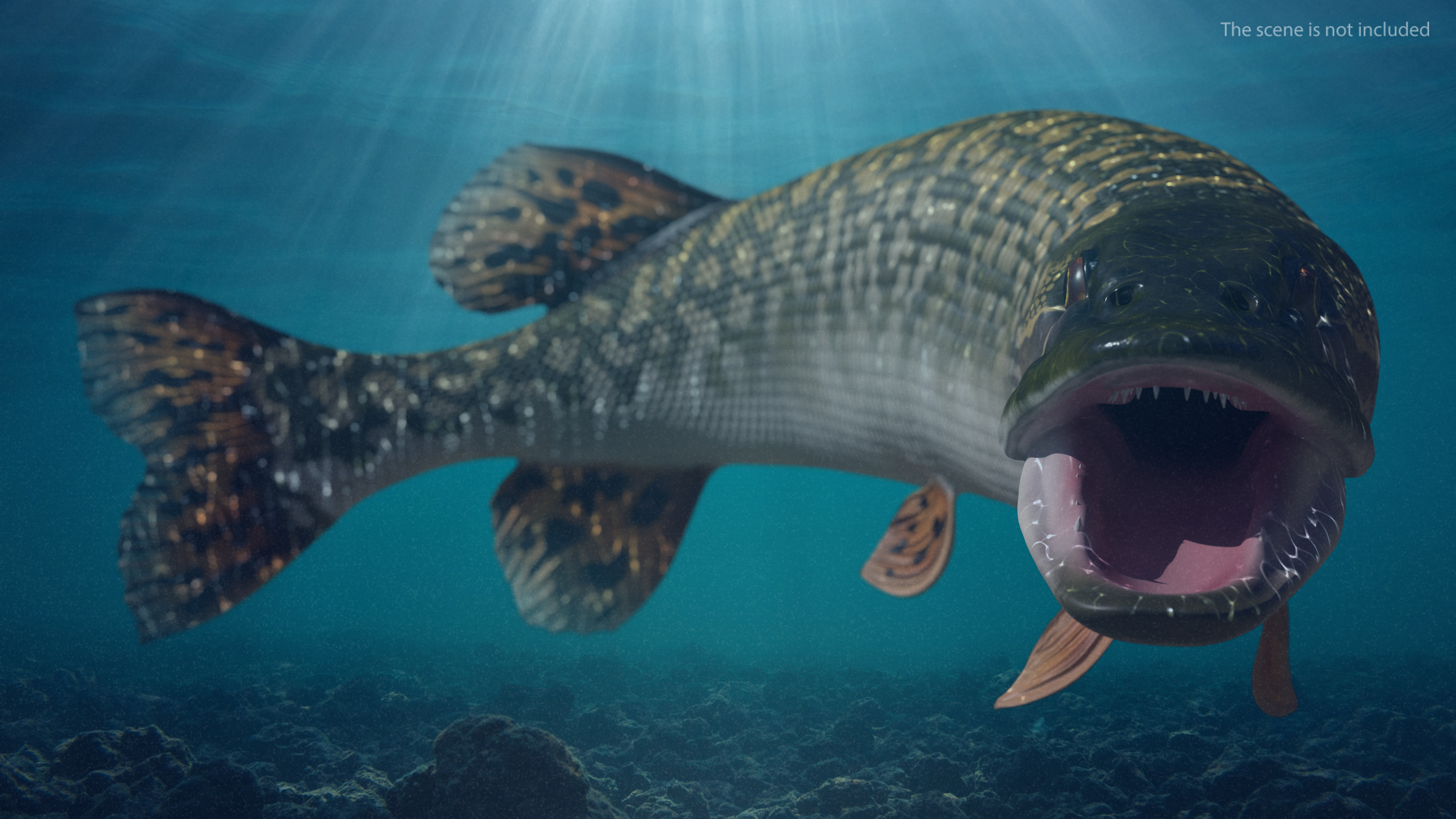 3D Pike Fish Rigged