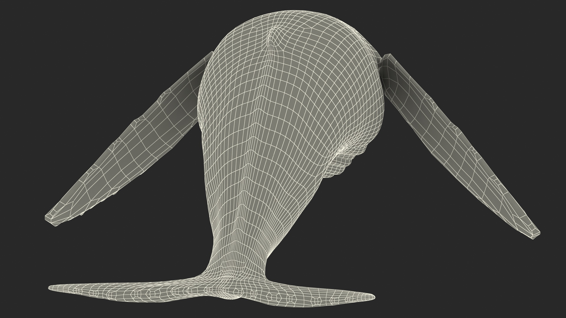 3D model Humpback Whale or Megaptera Novaeangliae