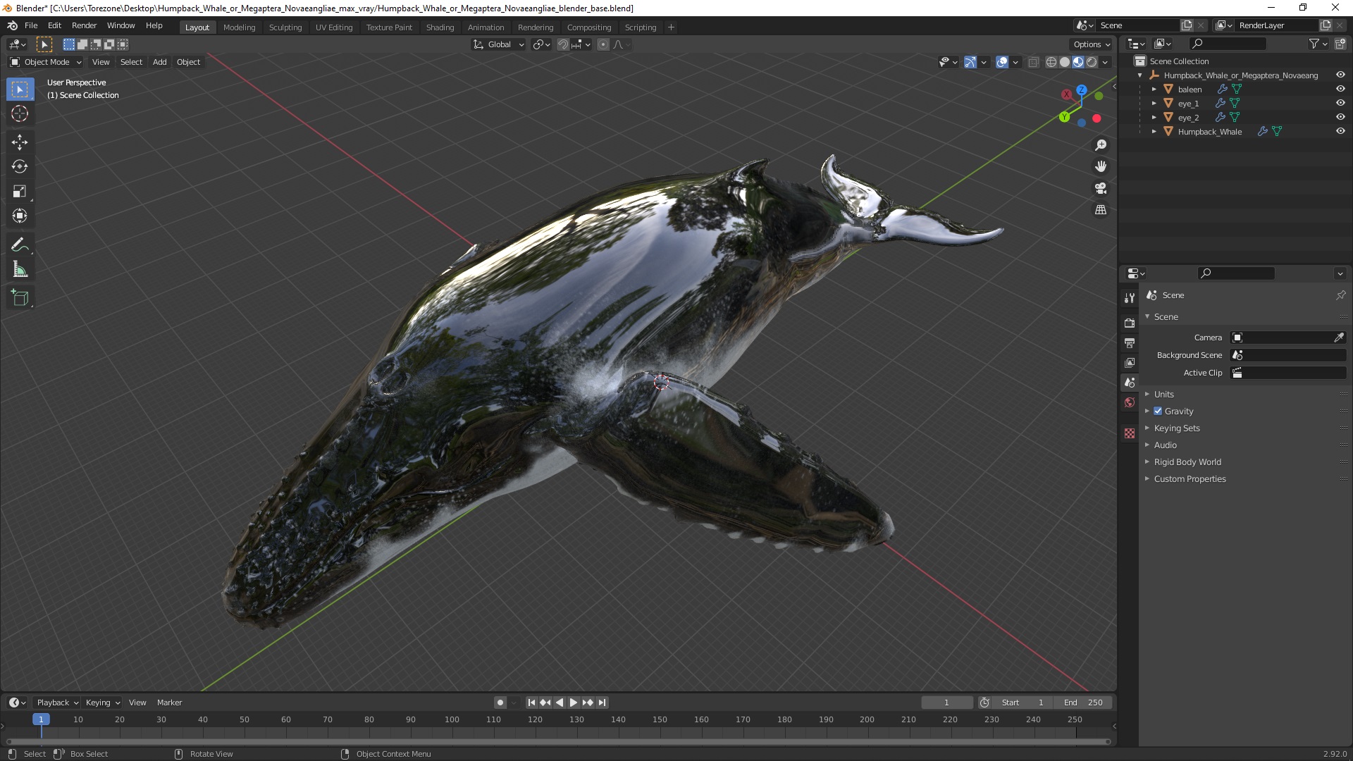 3D model Humpback Whale or Megaptera Novaeangliae