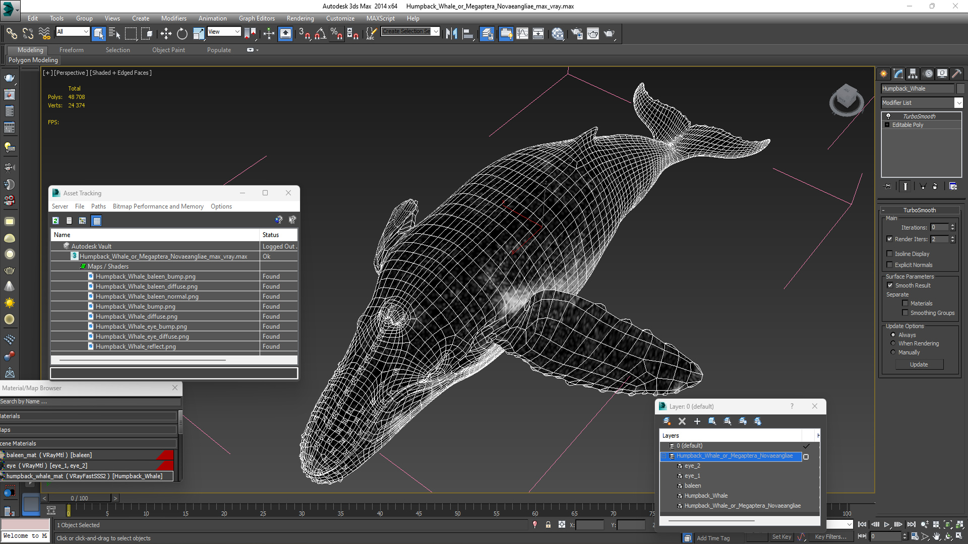 3D model Humpback Whale or Megaptera Novaeangliae