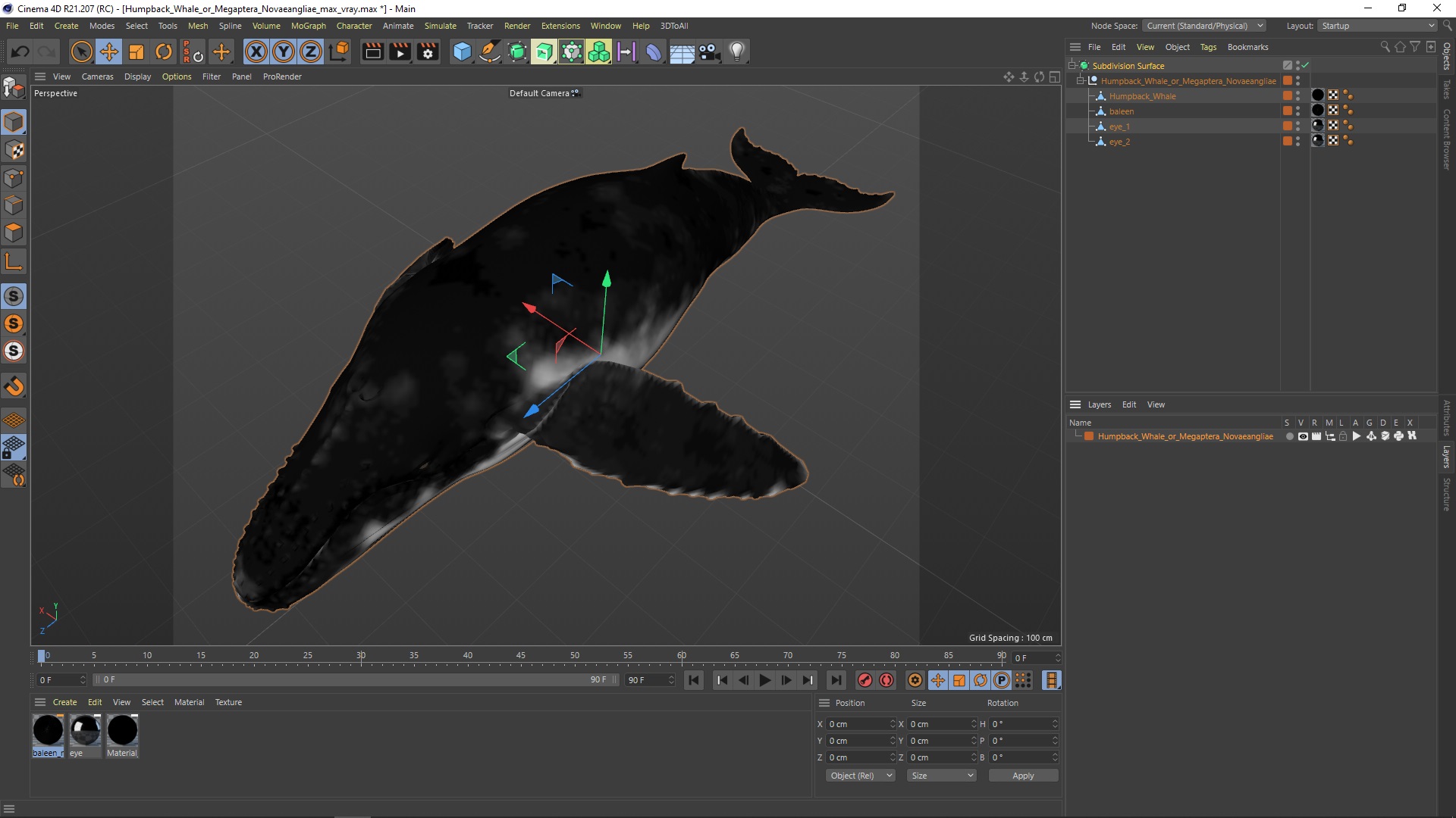 3D model Humpback Whale or Megaptera Novaeangliae