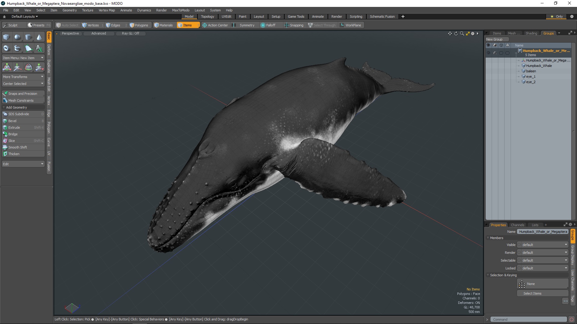 3D model Humpback Whale or Megaptera Novaeangliae