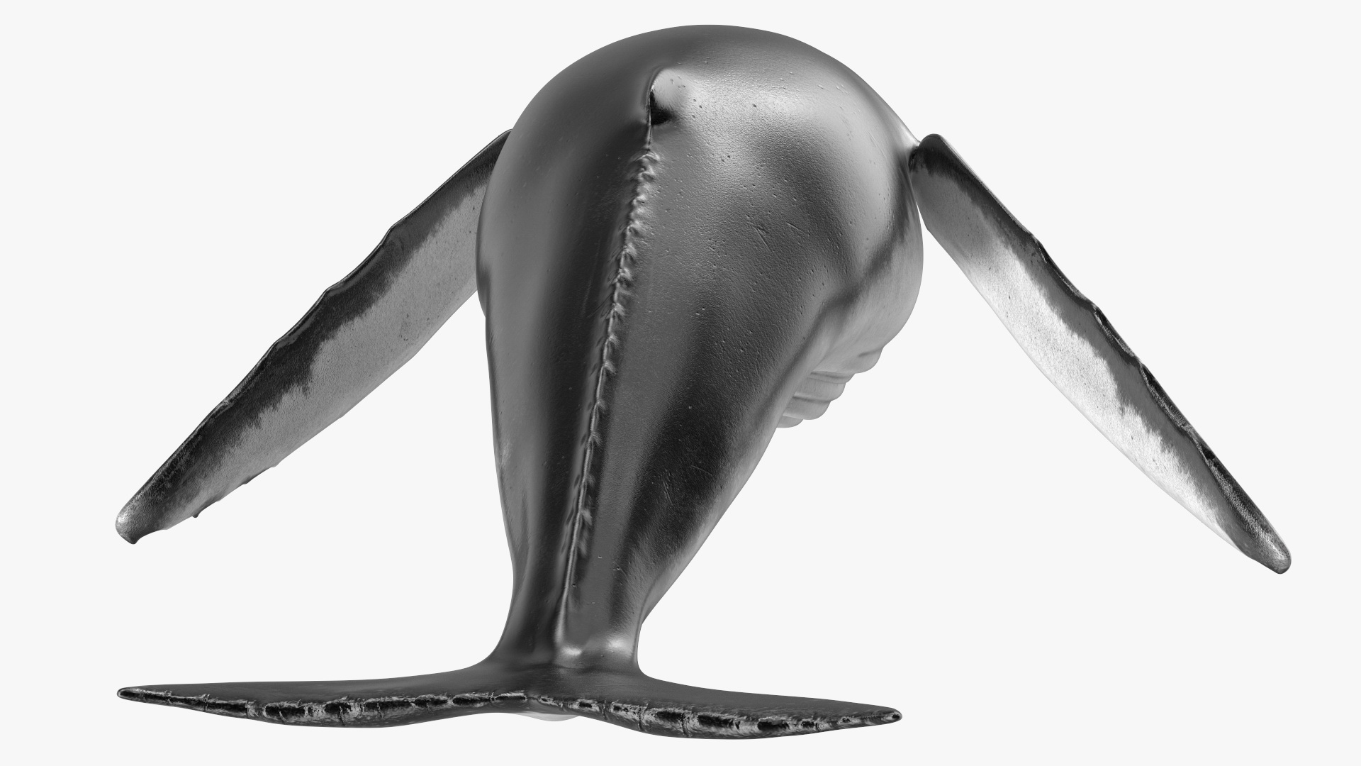 3D model Humpback Whale or Megaptera Novaeangliae