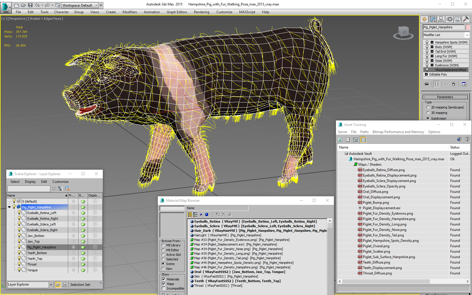 Hampshire Pig Piglet with Fur Walking Pose 3D