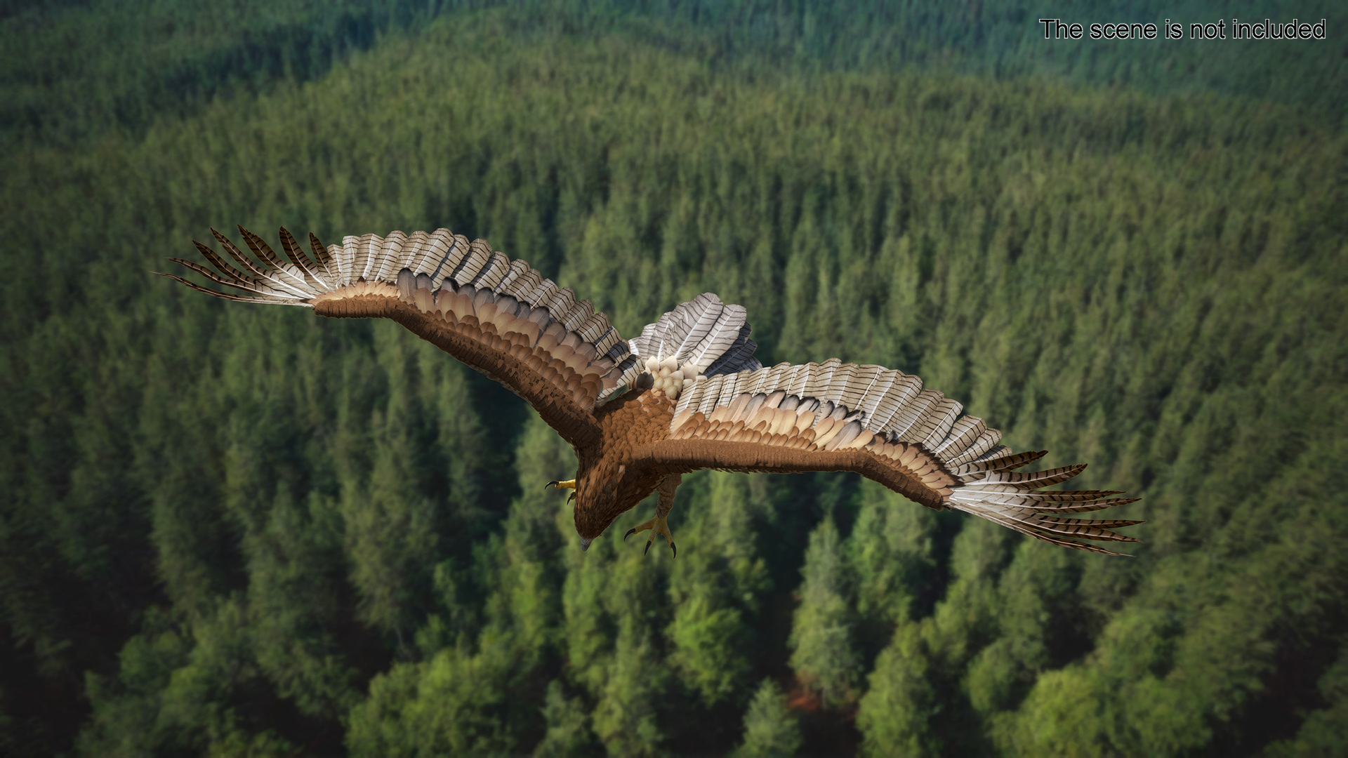 Gurney Eagle Attacking Pose 3D