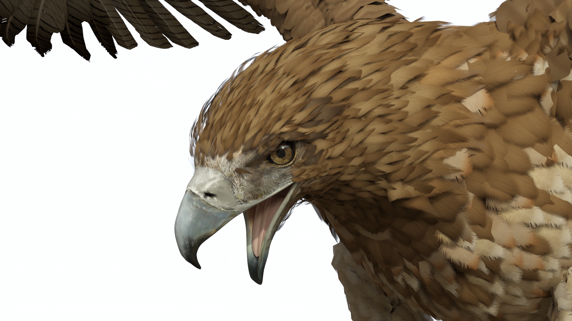 Gurney Eagle Attacking Pose 3D