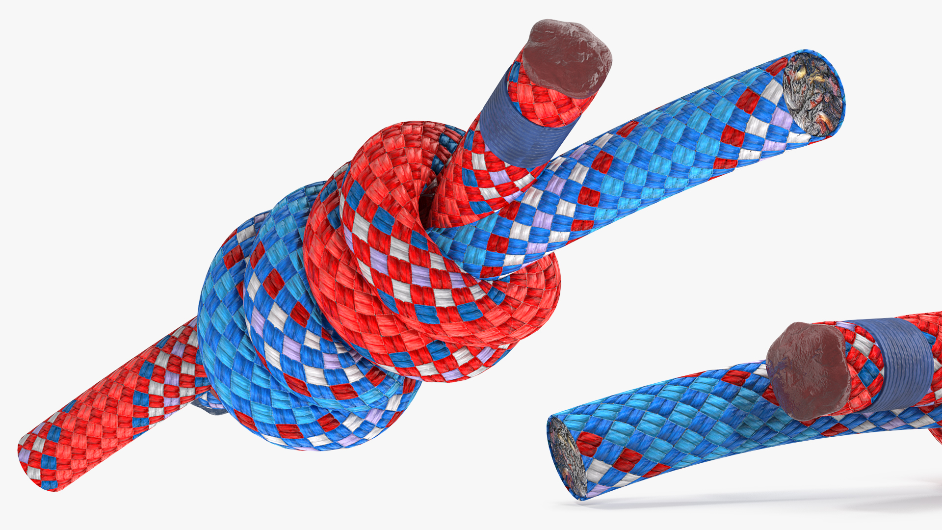 3D model Colored Double Fishermans Bend Knot