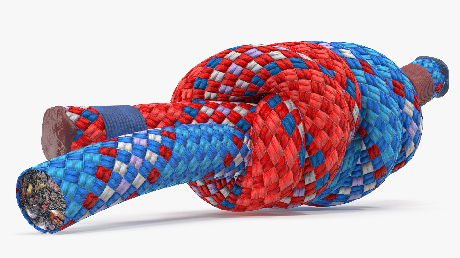 3D model Colored Double Fishermans Bend Knot
