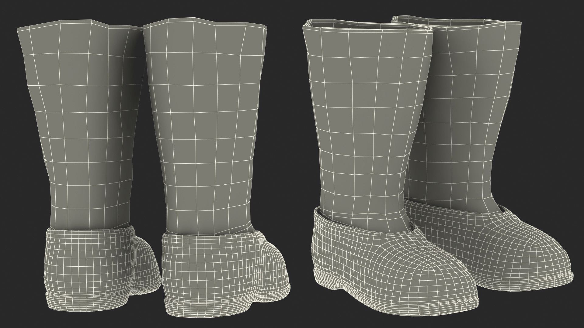 Warm Rustic Felt Boots With Transparent Galoshes Fur 3D
