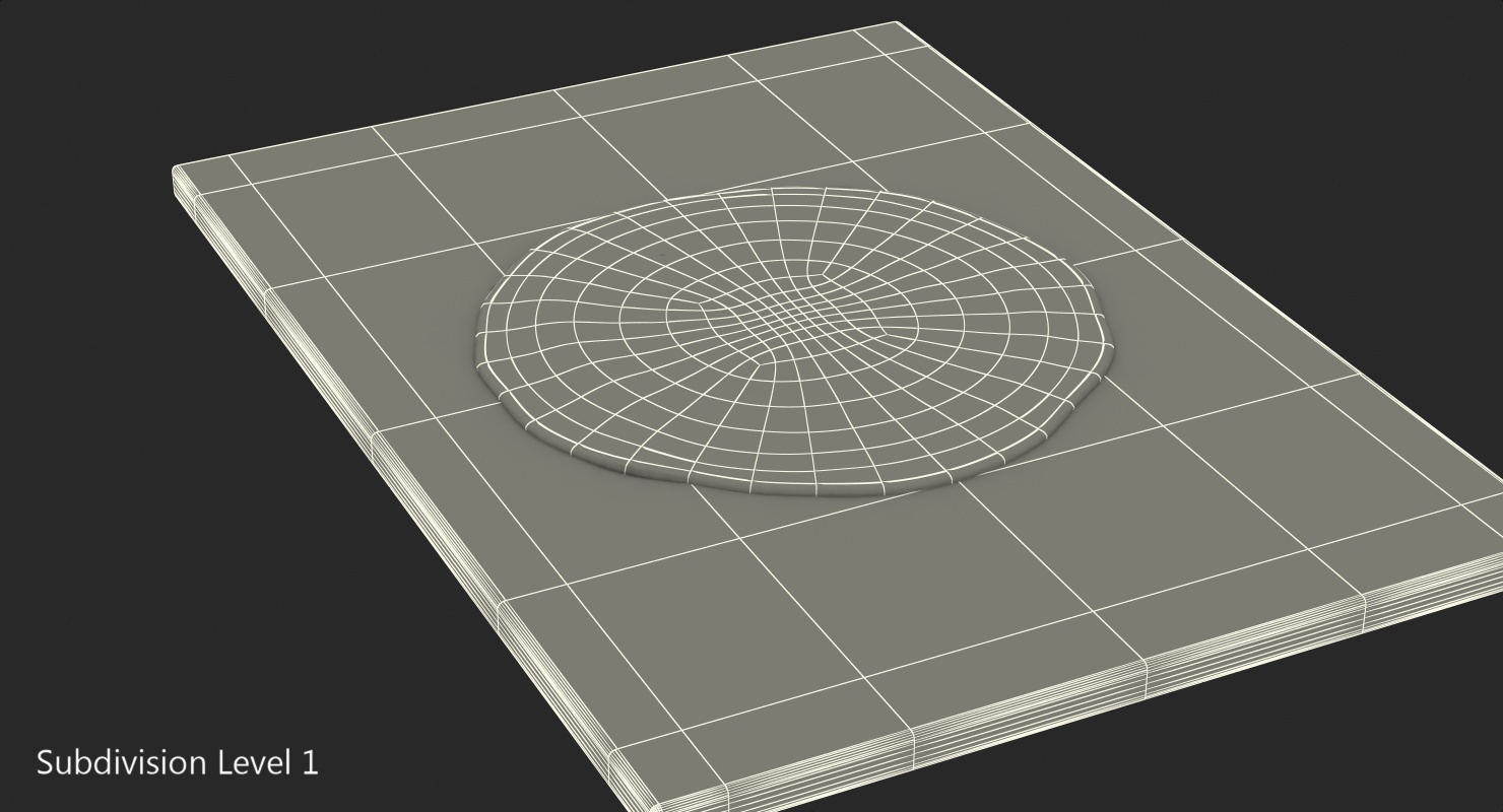 3D Flat Bread Pizza Dough on Board
