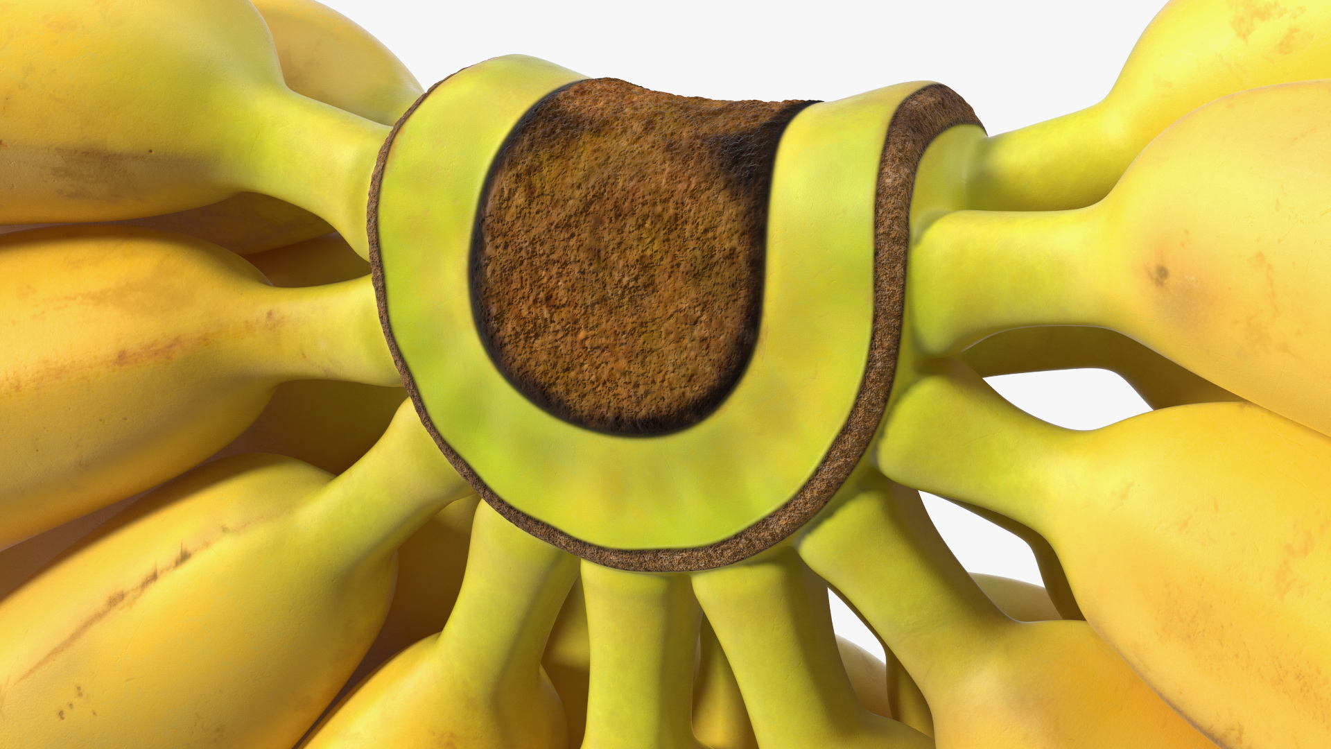 3D Old Ripe Banana Bunch