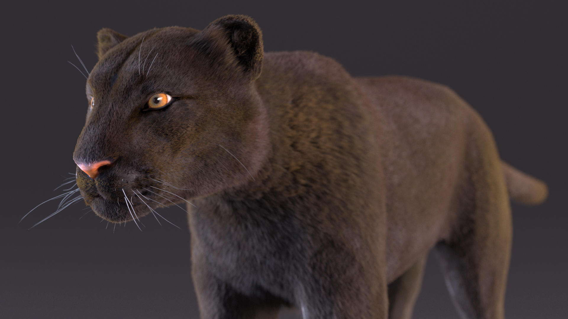 Black Panther Fur 3D