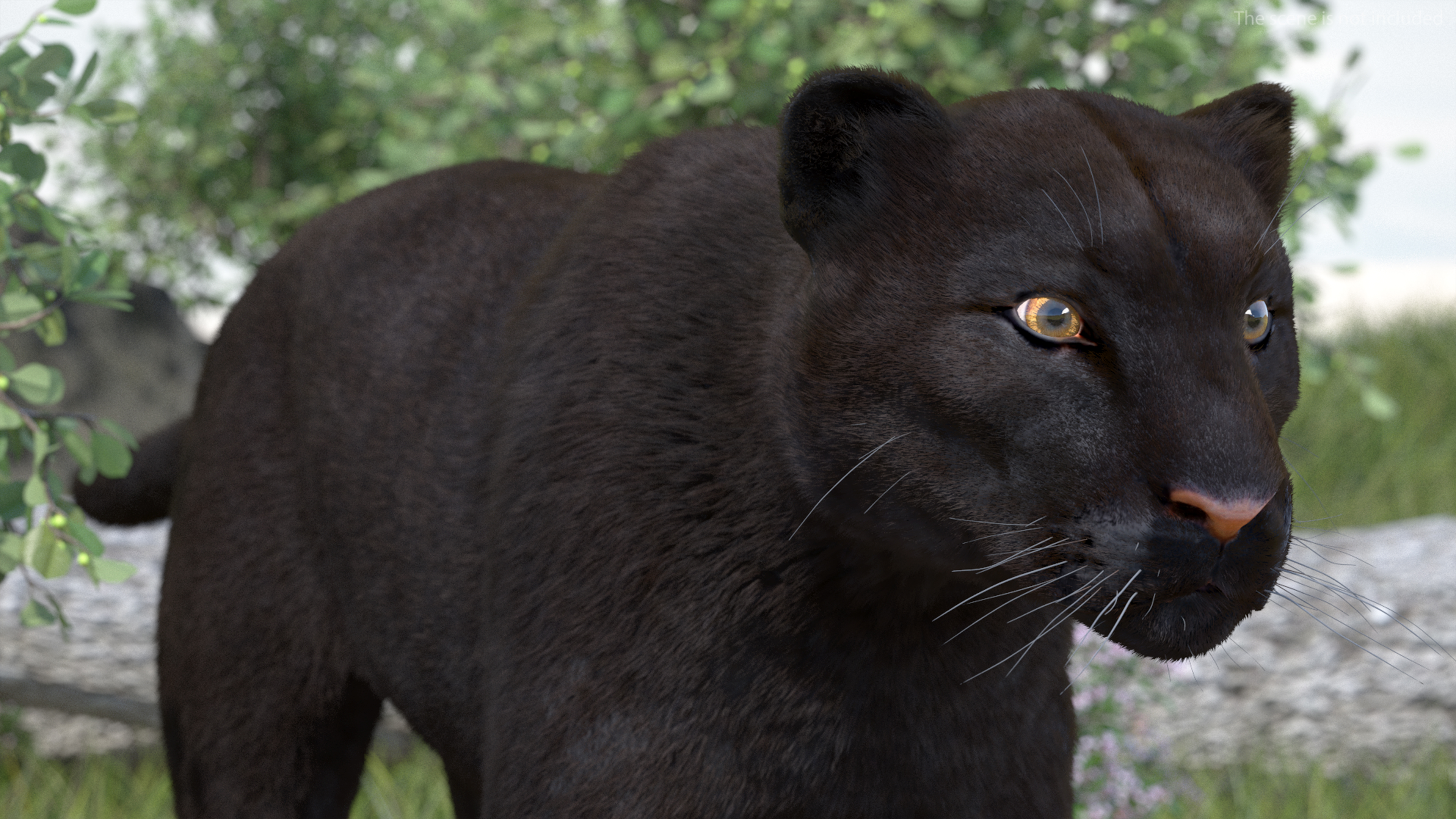 Black Panther Fur 3D