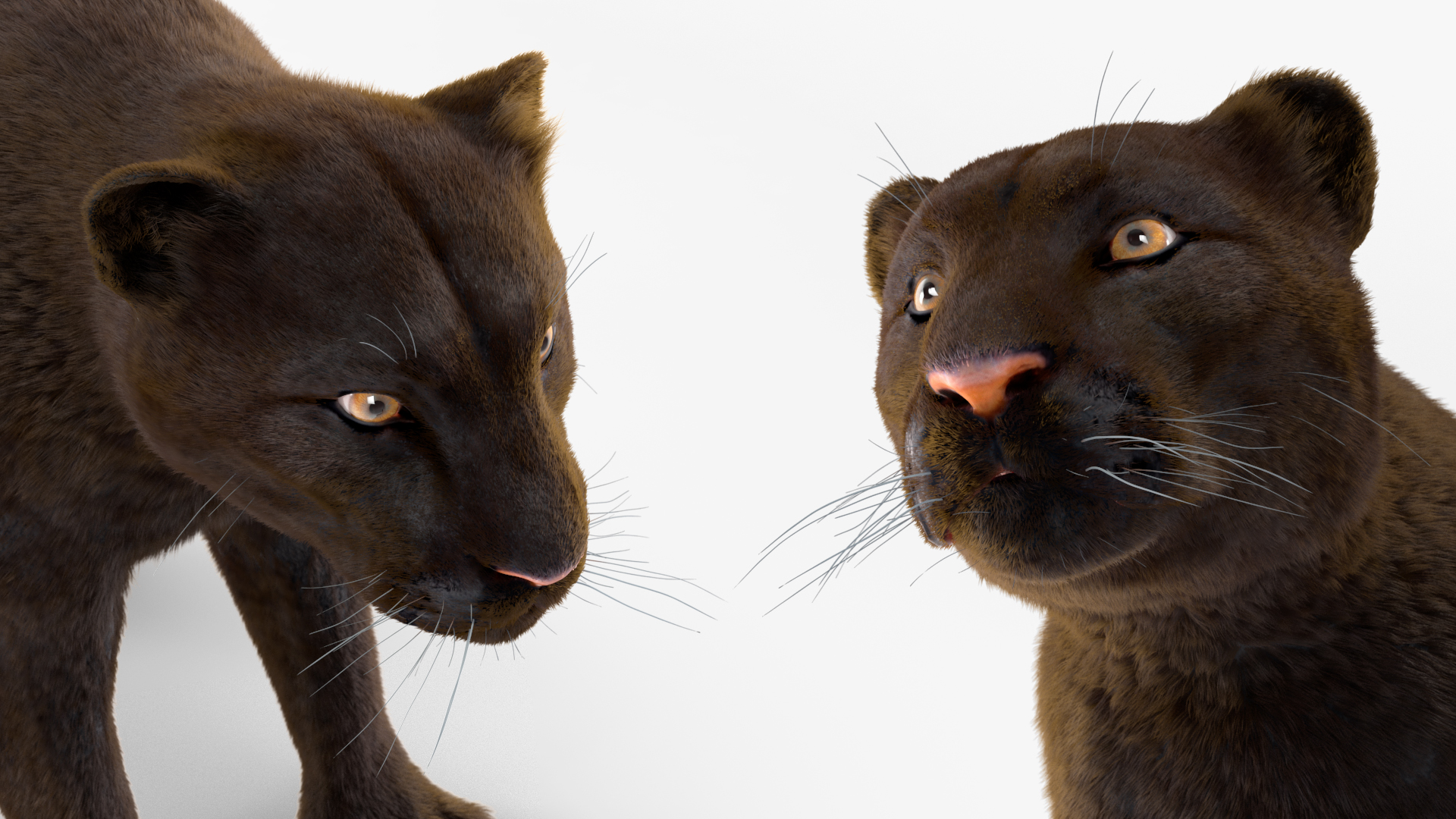 Black Panther Fur 3D