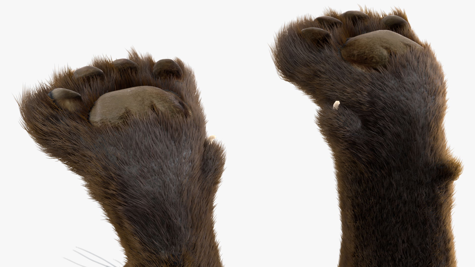 Black Panther Fur 3D
