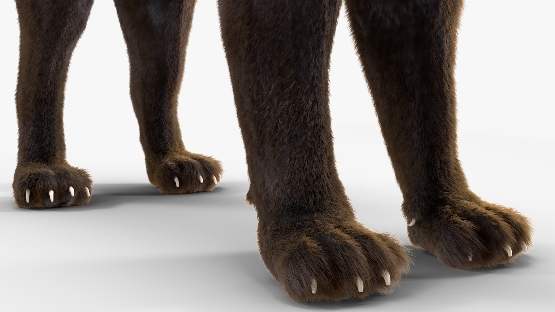 Black Panther Fur 3D