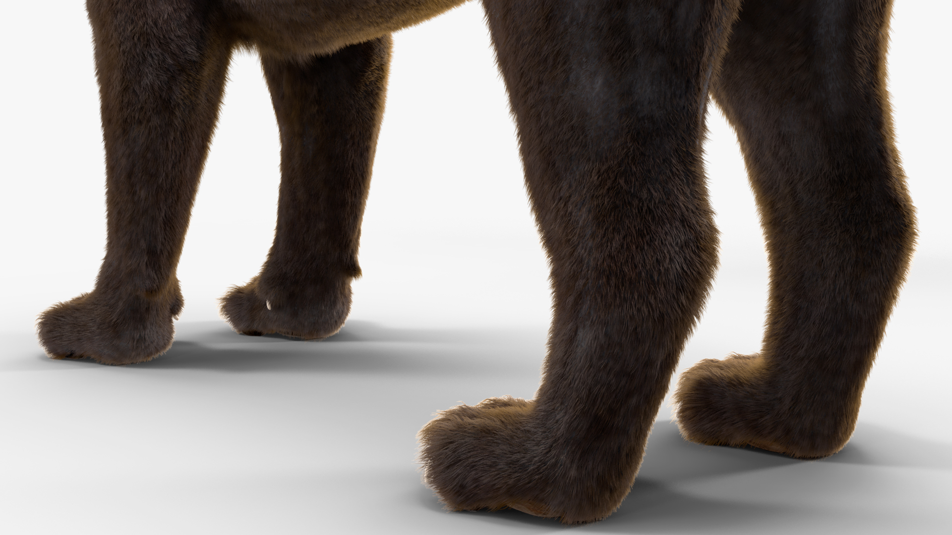 Black Panther Fur 3D
