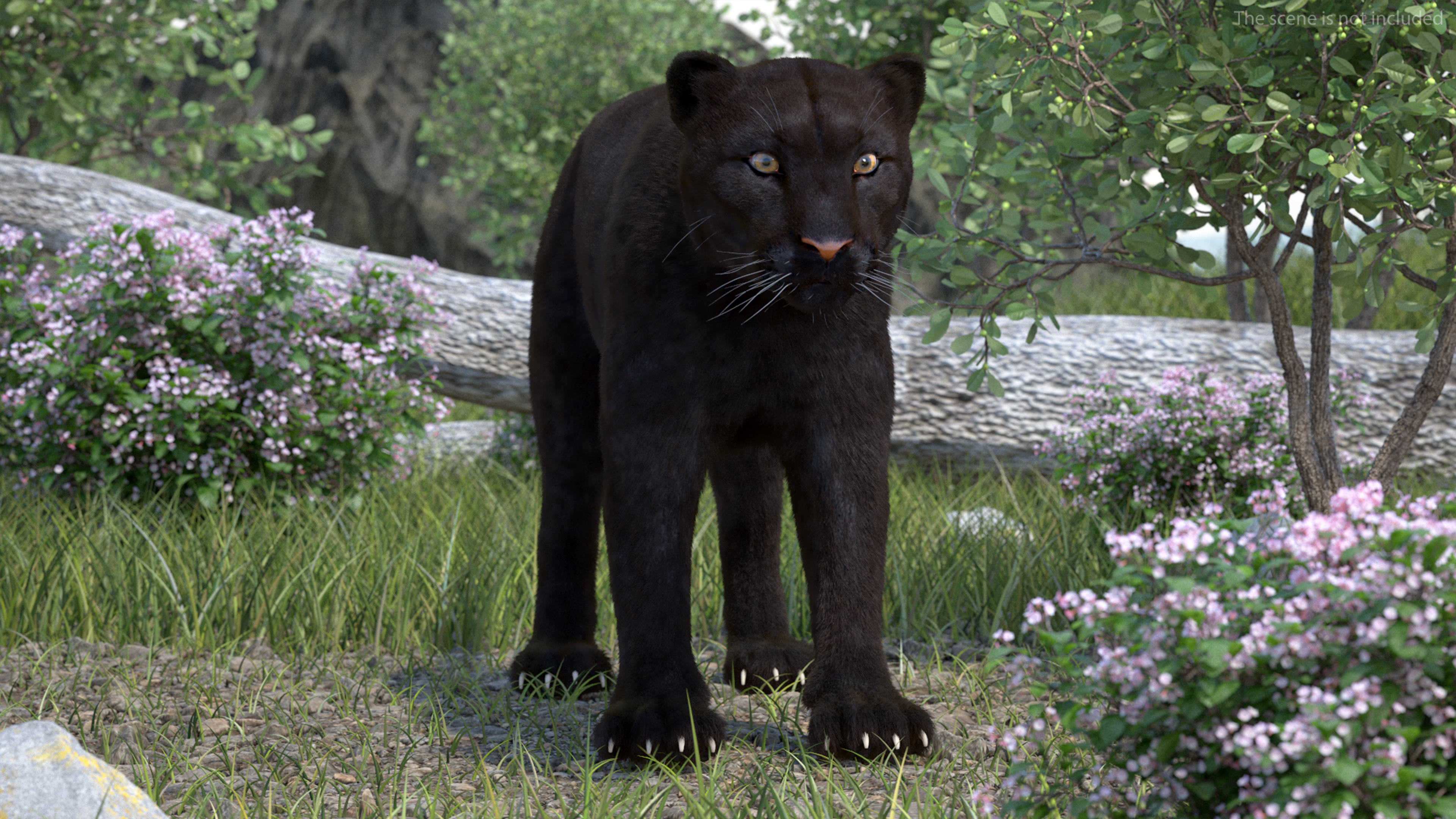 Black Panther Fur 3D