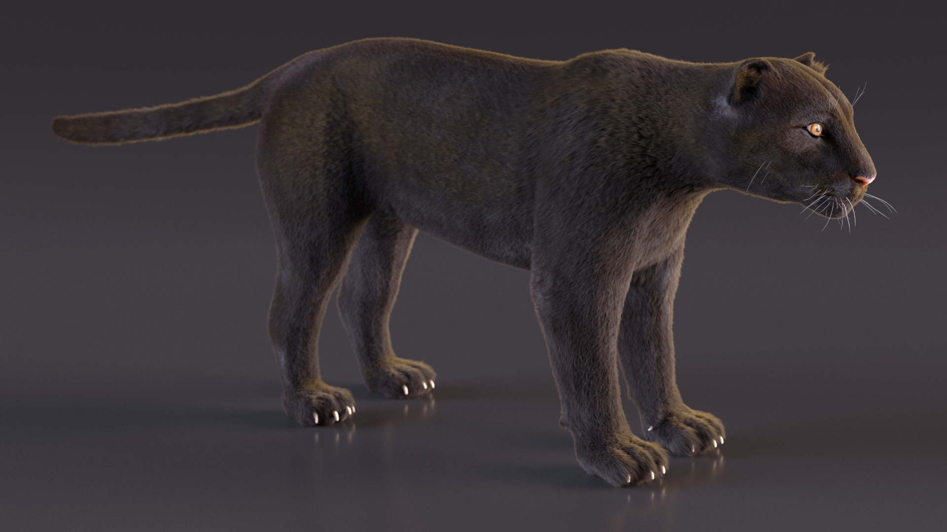 Black Panther Fur 3D