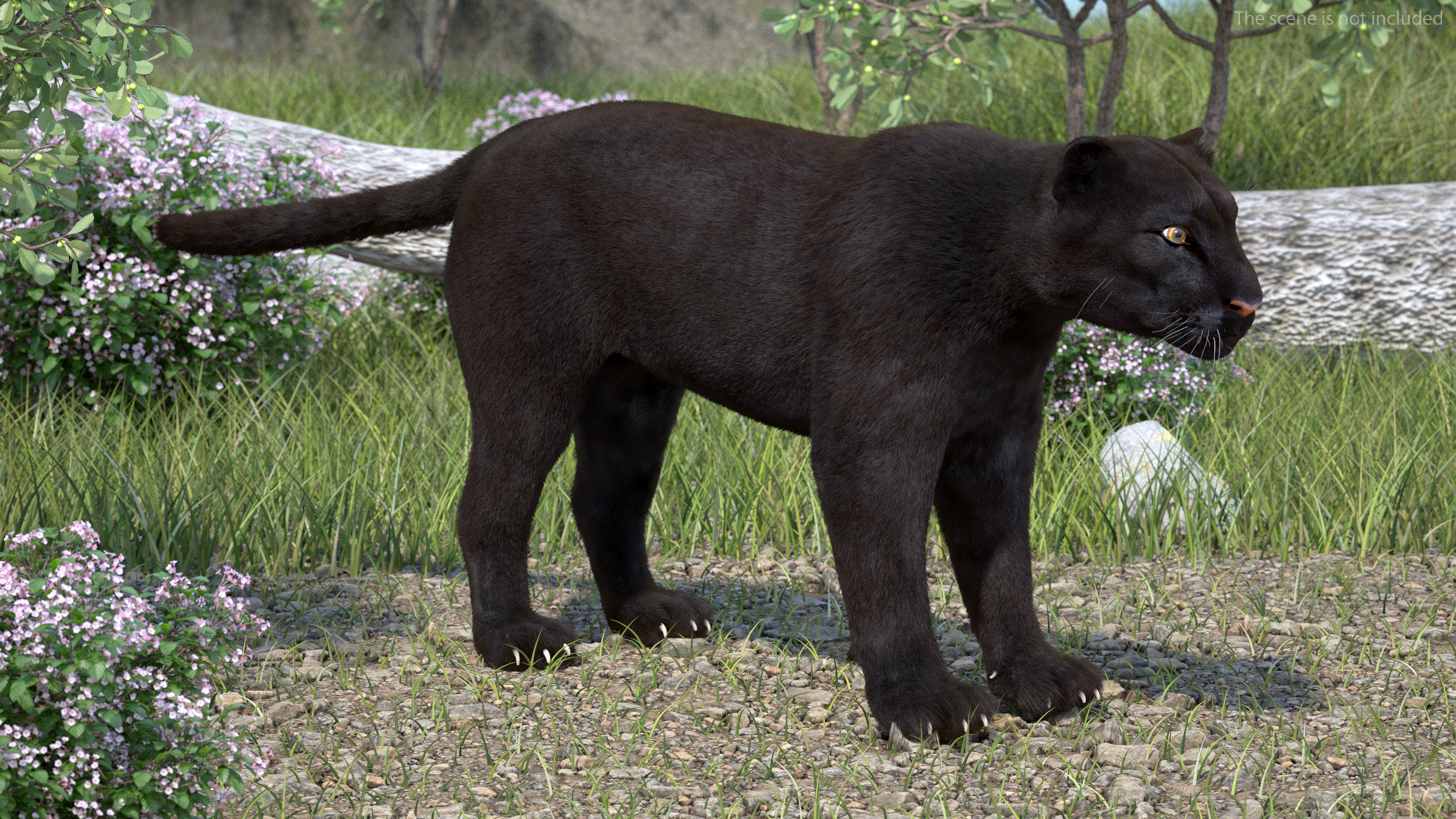 Black Panther Fur 3D