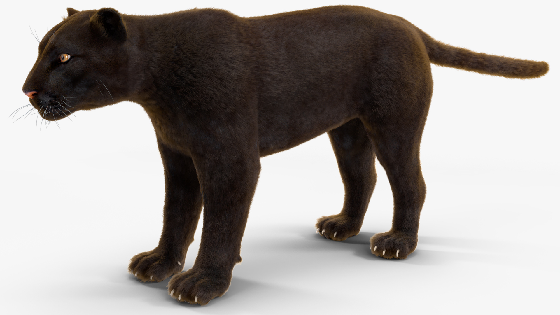 Black Panther Fur 3D