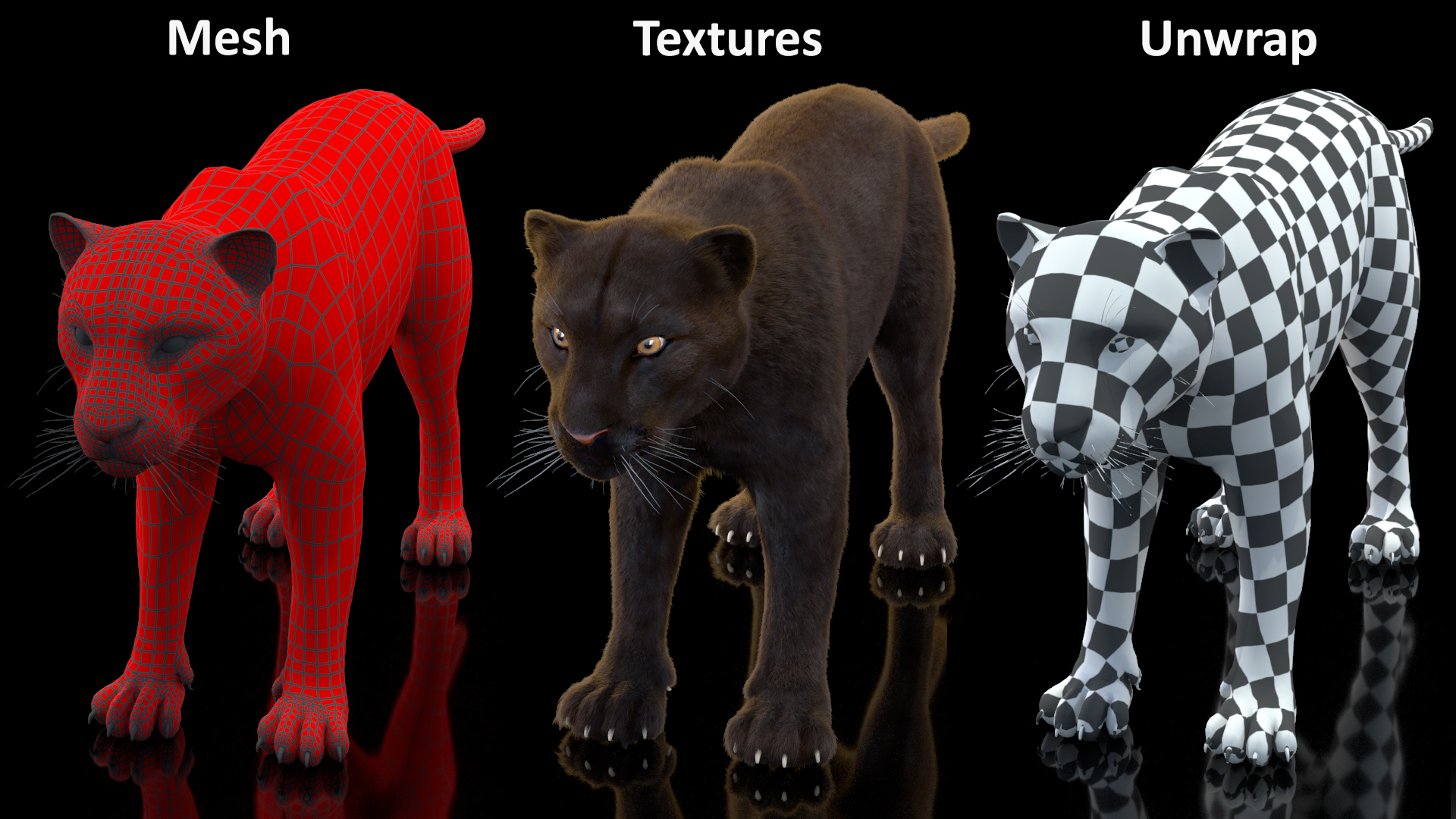 Black Panther Fur 3D