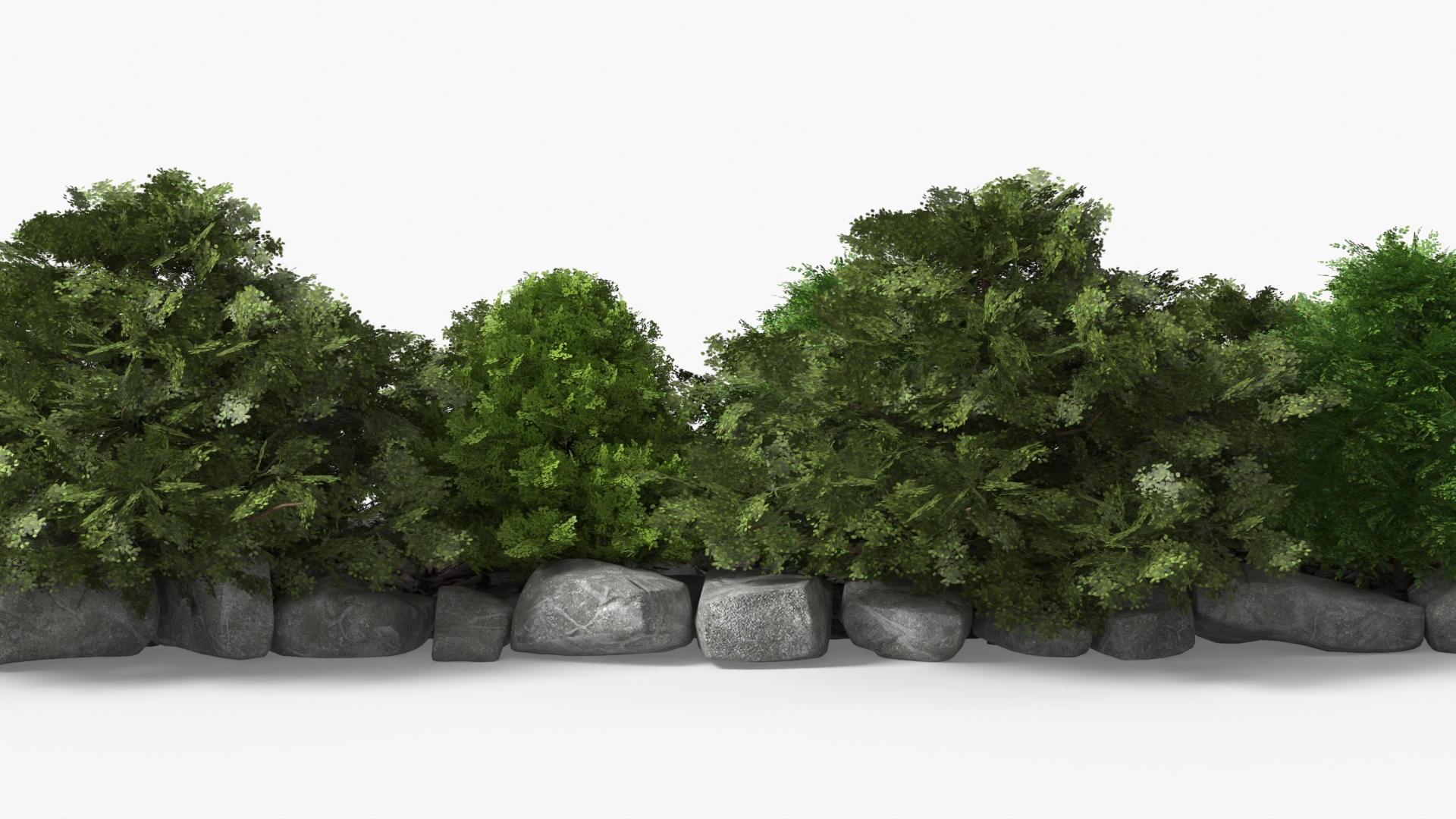 Landscape Shrub Border with Stones Green Gray - view 6