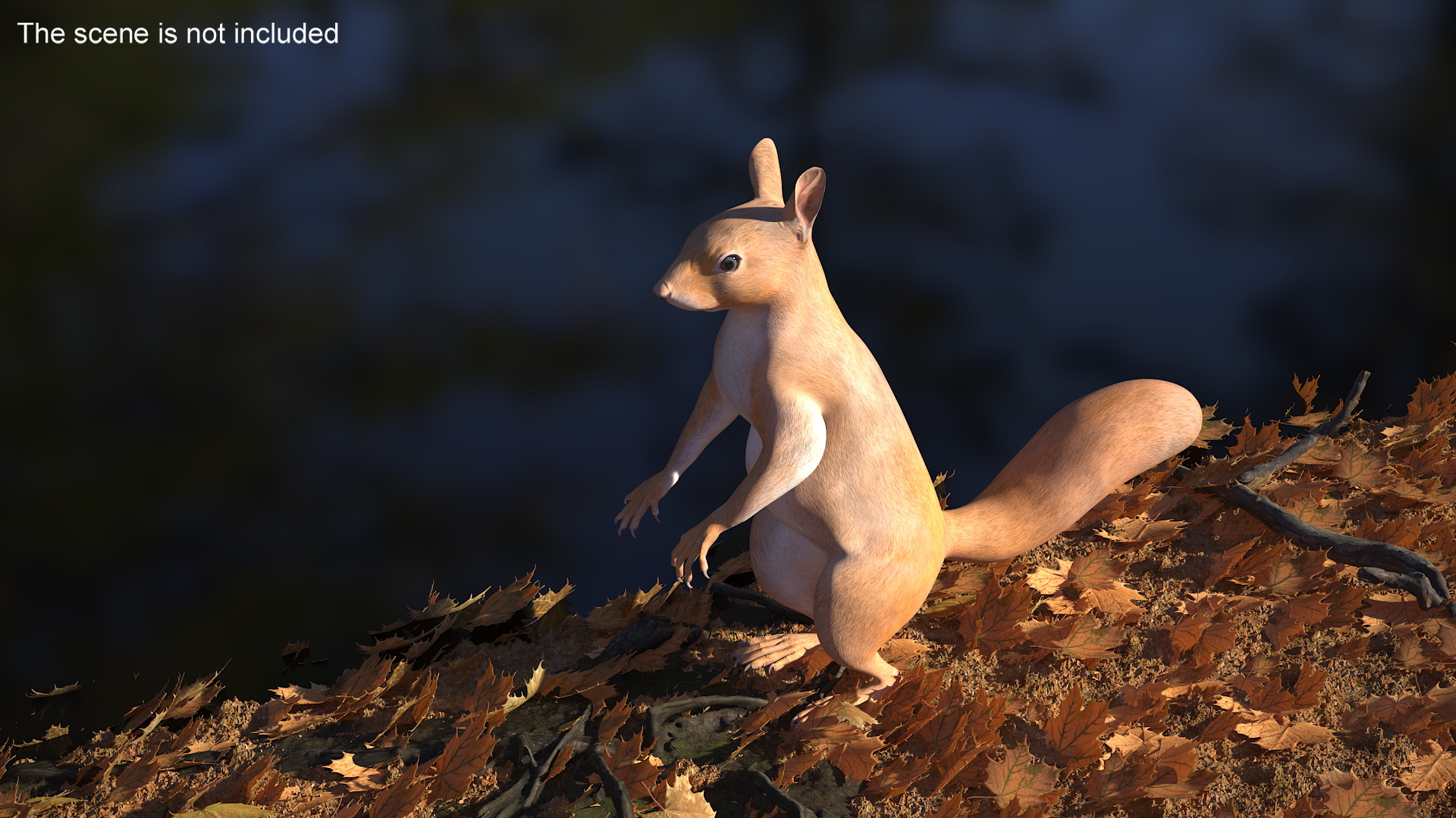 Red Squirrel in Standing Pose 3D model