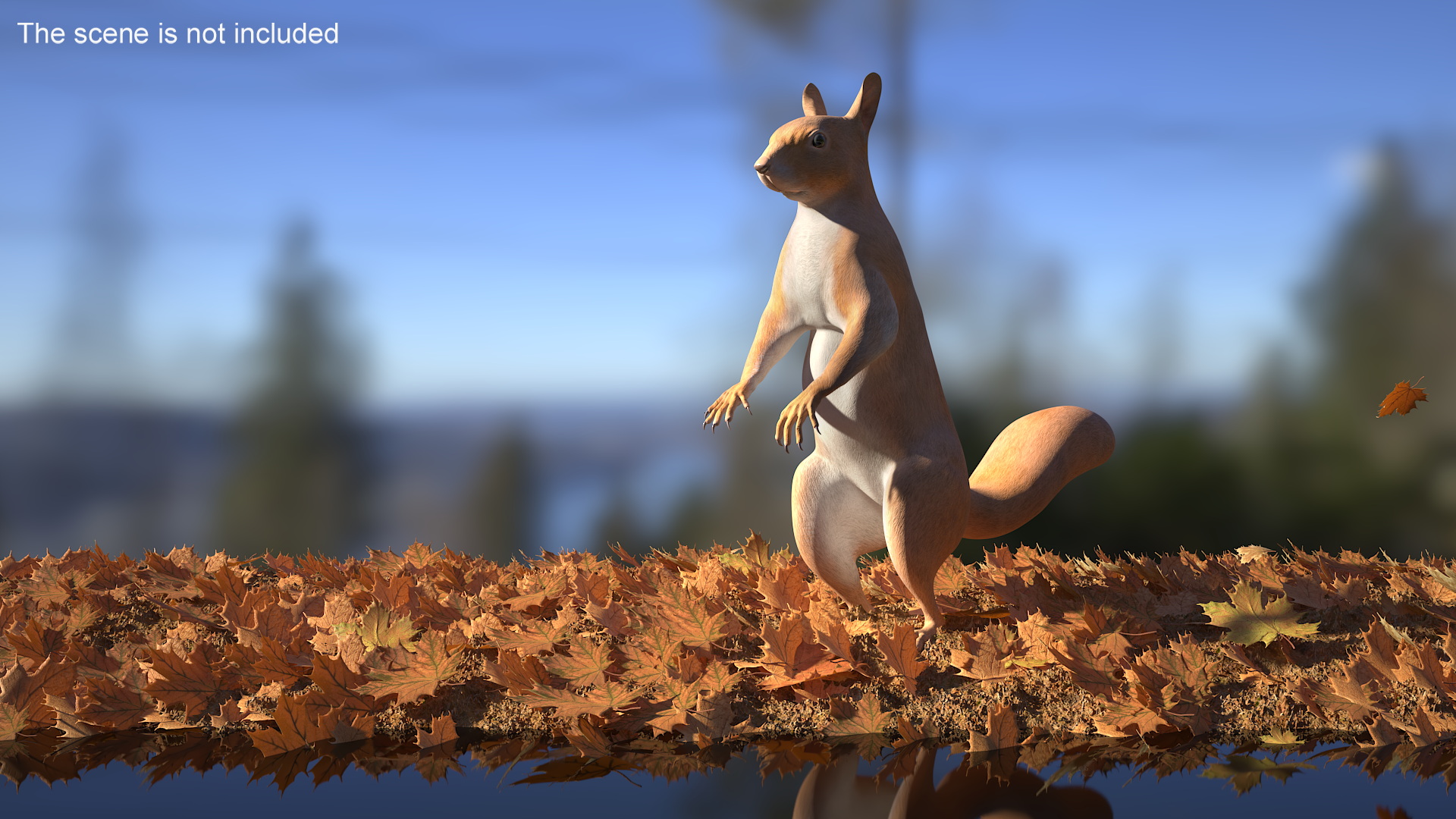 Red Squirrel in Standing Pose 3D model