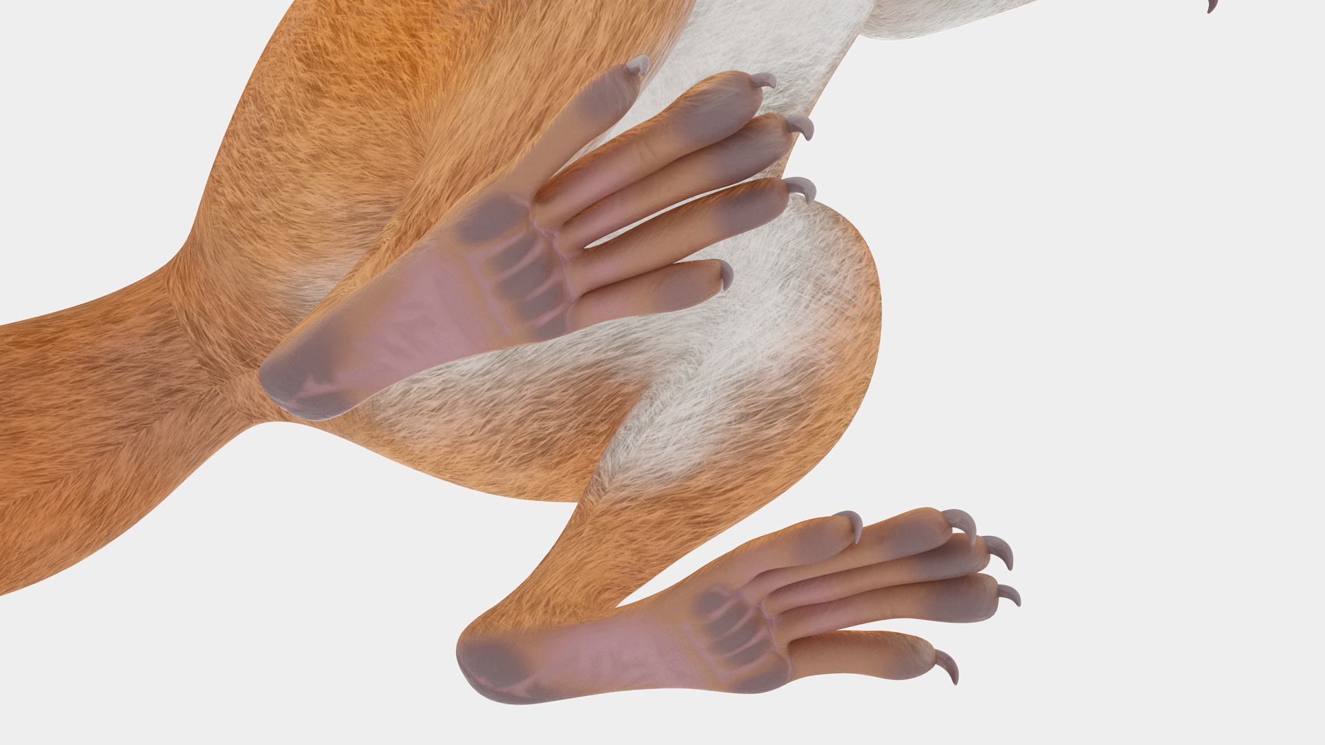 Red Squirrel in Standing Pose 3D model