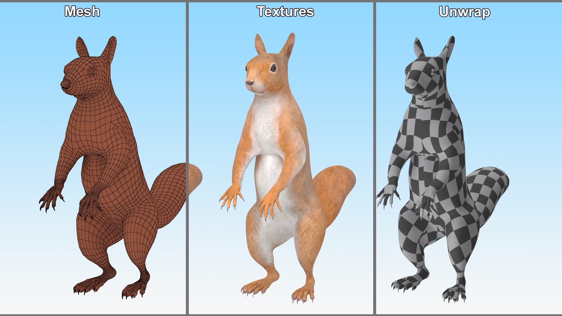 Red Squirrel in Standing Pose 3D model